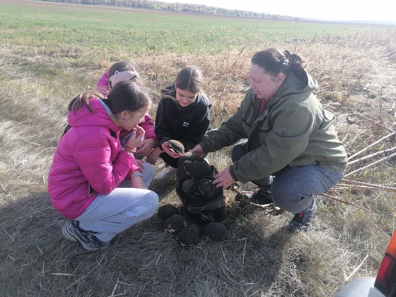 Точка роста.