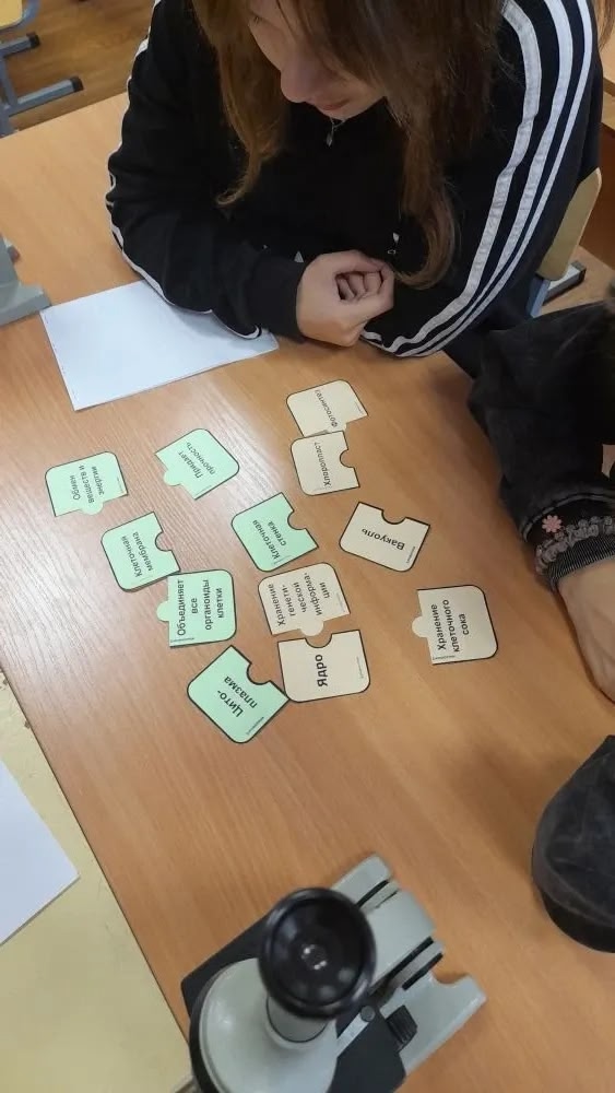 Точка роста.