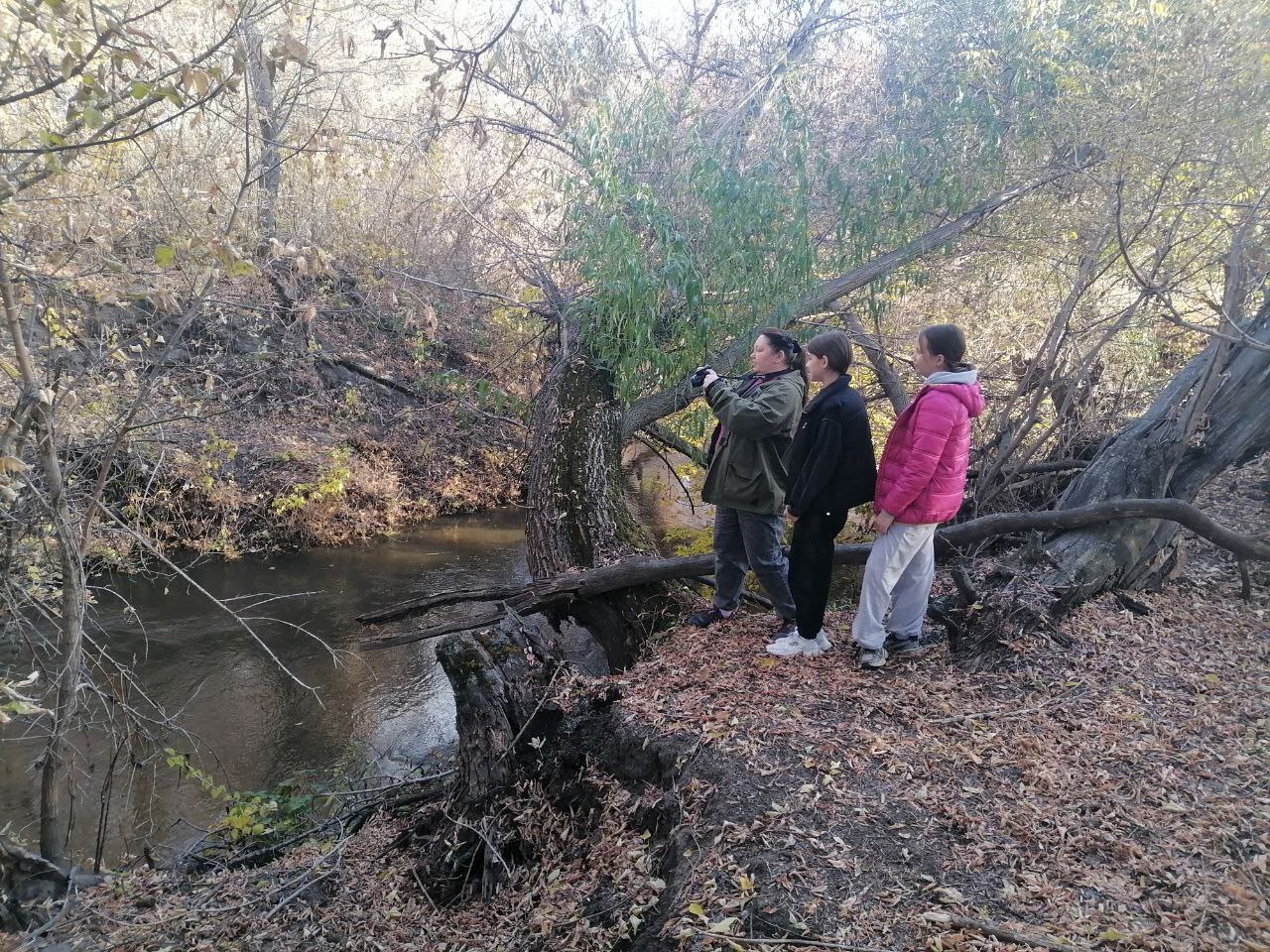 Точка роста.